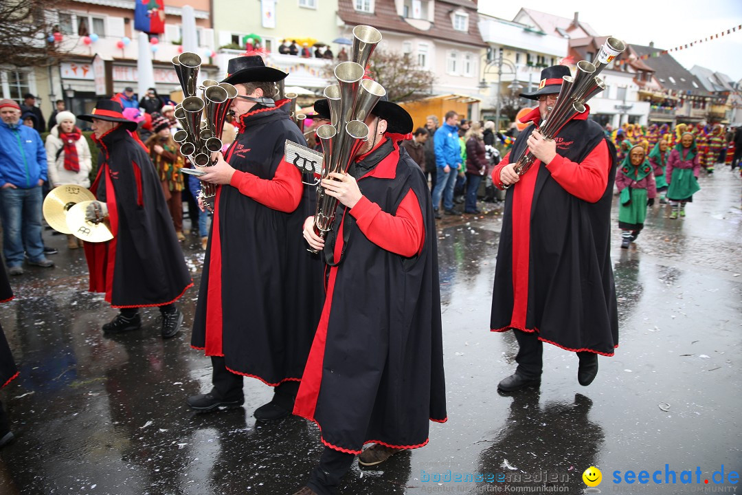 Fasnetsumzug - Fasching: Langenargen am Bodensee, 10.01.2016