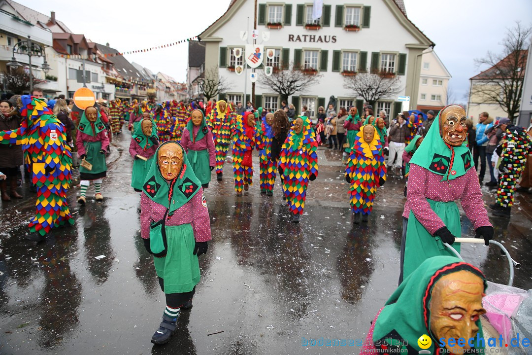 Fasnetsumzug - Fasching: Langenargen am Bodensee, 10.01.2016