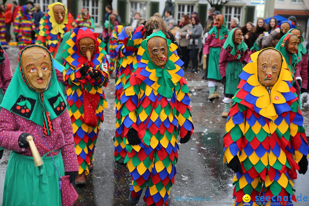 Fasnetsumzug - Fasching: Langenargen am Bodensee, 10.01.2016