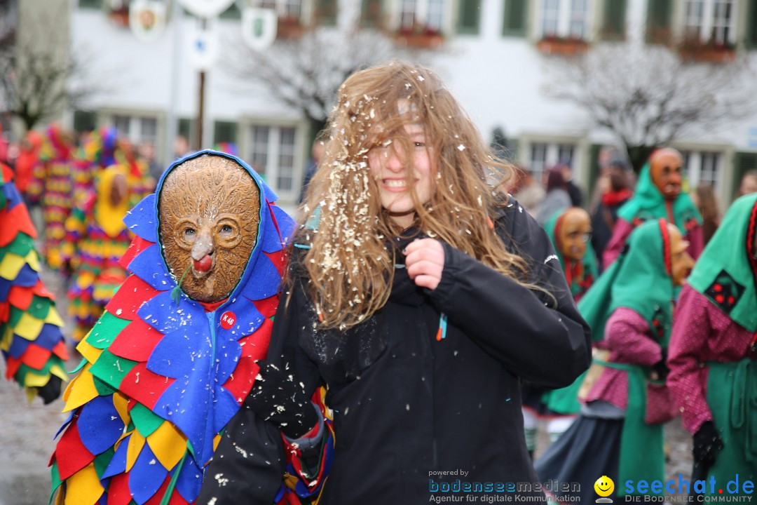 Fasnetsumzug - Fasching: Langenargen am Bodensee, 10.01.2016