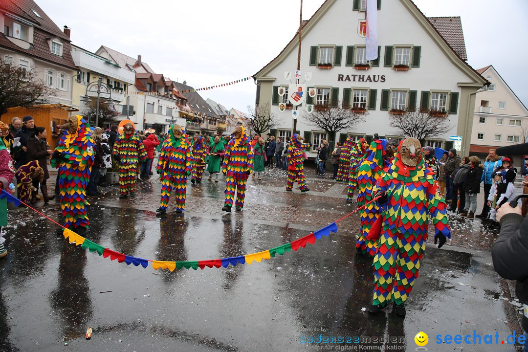 Fasnetsumzug - Fasching: Langenargen am Bodensee, 10.01.2016