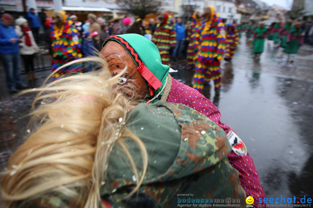 Fasnetsumzug - Fasching: Langenargen am Bodensee, 10.01.2016