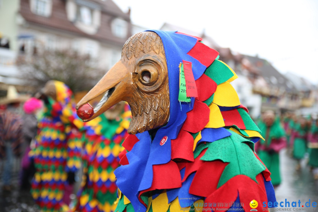 Fasnetsumzug - Fasching: Langenargen am Bodensee, 10.01.2016