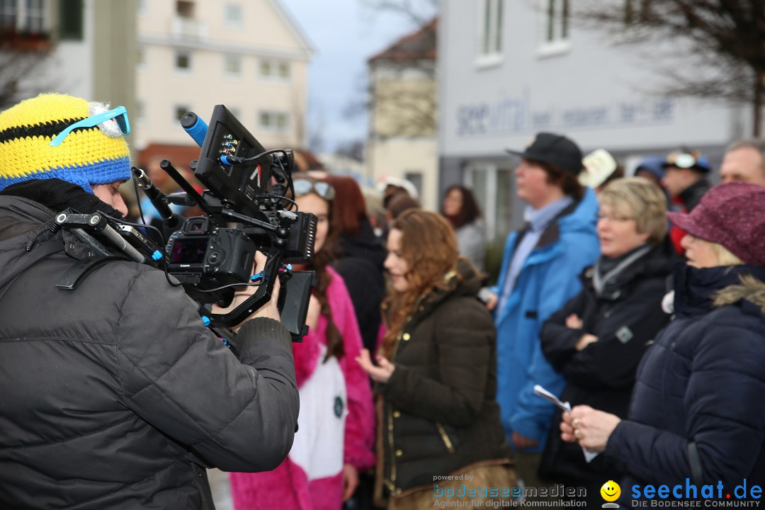 Fasnetsumzug - Fasching: Langenargen am Bodensee, 10.01.2016