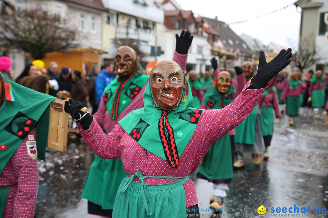 Fasnetsumzug - Fasching: Langenargen am Bodensee, 10.01.2016