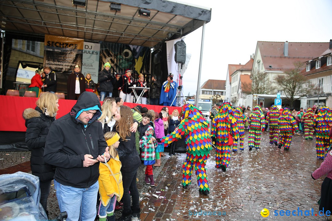 Fasnetsumzug - Fasching: Langenargen am Bodensee, 10.01.2016