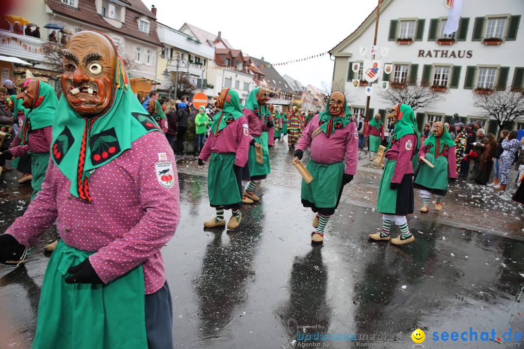 Fasnetsumzug - Fasching: Langenargen am Bodensee, 10.01.2016