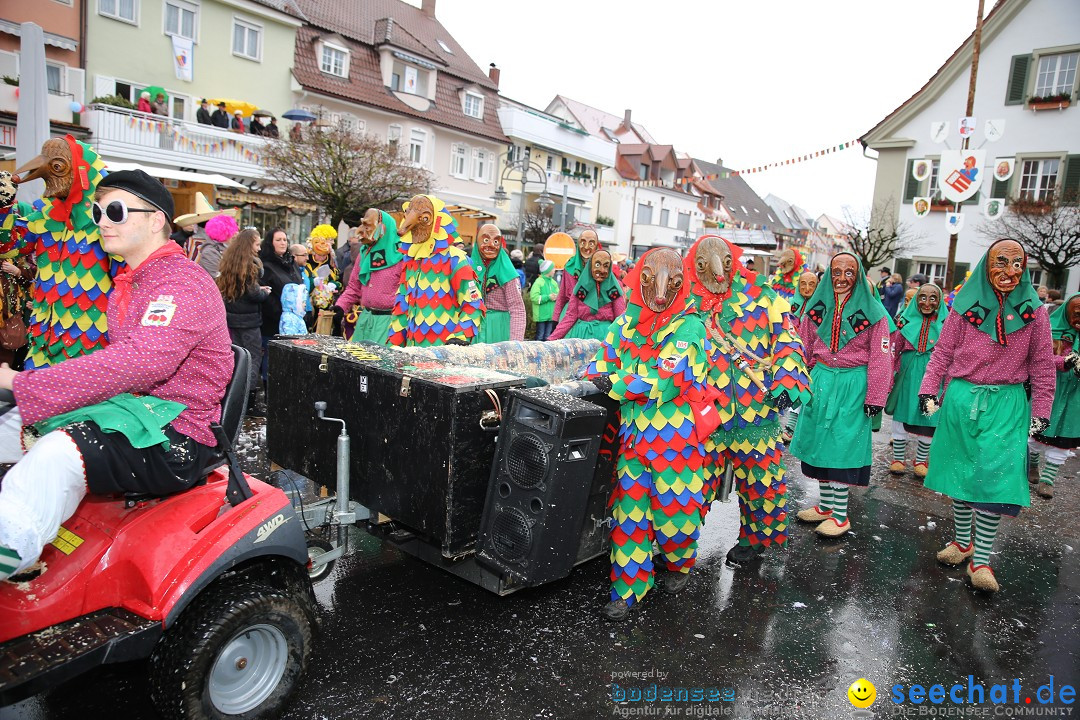 Fasnetsumzug - Fasching: Langenargen am Bodensee, 10.01.2016