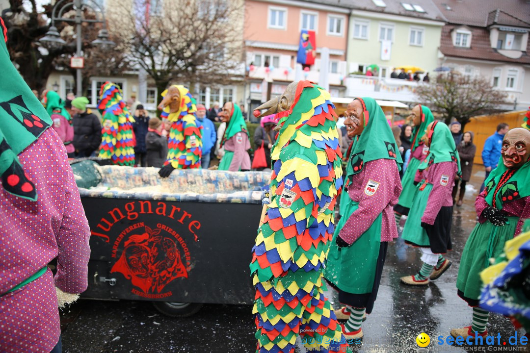 Fasnetsumzug - Fasching: Langenargen am Bodensee, 10.01.2016