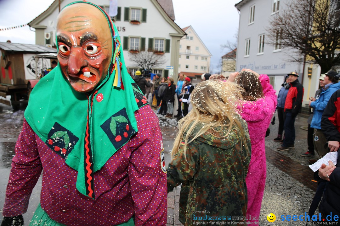 Fasnetsumzug - Fasching: Langenargen am Bodensee, 10.01.2016