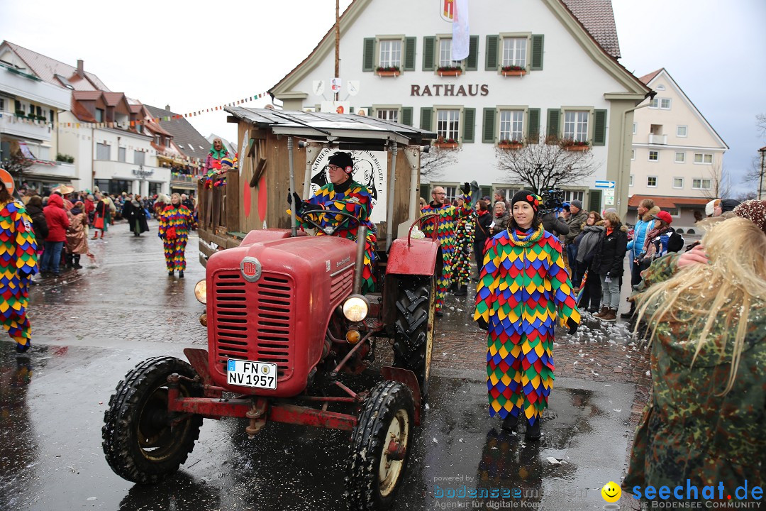 Fasnetsumzug - Fasching: Langenargen am Bodensee, 10.01.2016