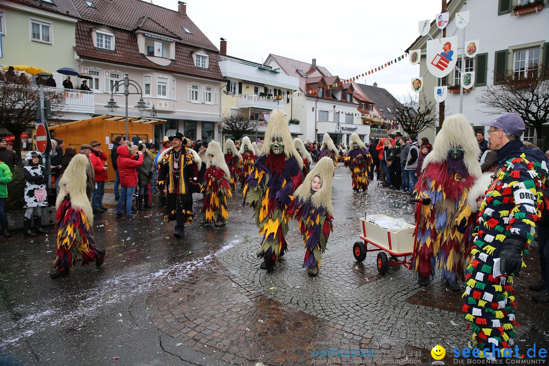 Fasnetsumzug - Fasching: Langenargen am Bodensee, 10.01.2016