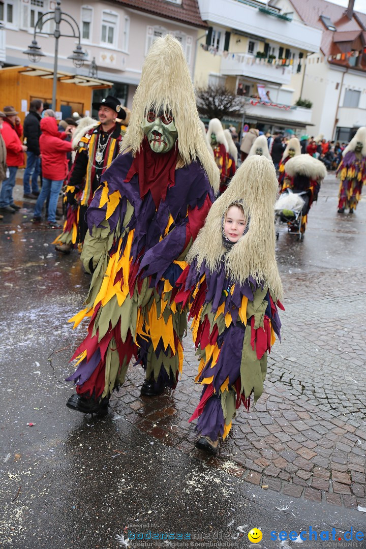 Fasnetsumzug - Fasching: Langenargen am Bodensee, 10.01.2016