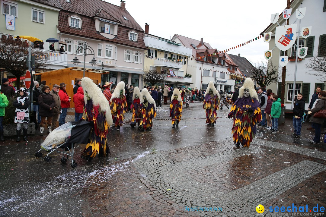 Fasnetsumzug - Fasching: Langenargen am Bodensee, 10.01.2016