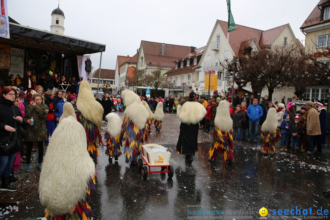 Fasnetsumzug - Fasching: Langenargen am Bodensee, 10.01.2016