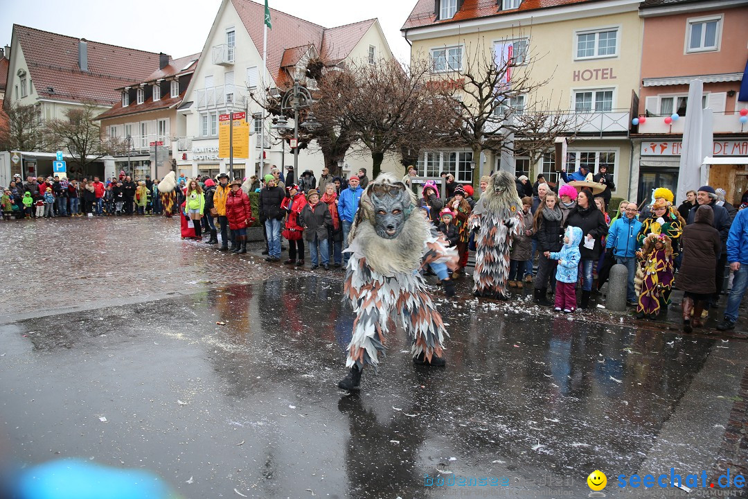 Fasnetsumzug - Fasching: Langenargen am Bodensee, 10.01.2016