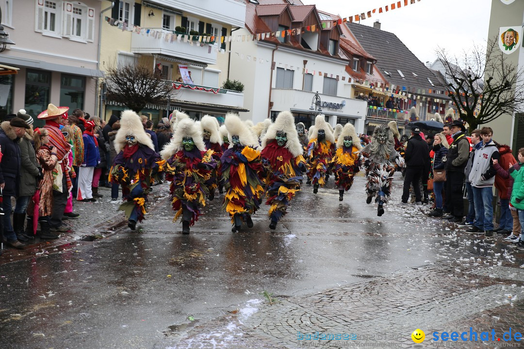 Fasnetsumzug - Fasching: Langenargen am Bodensee, 10.01.2016