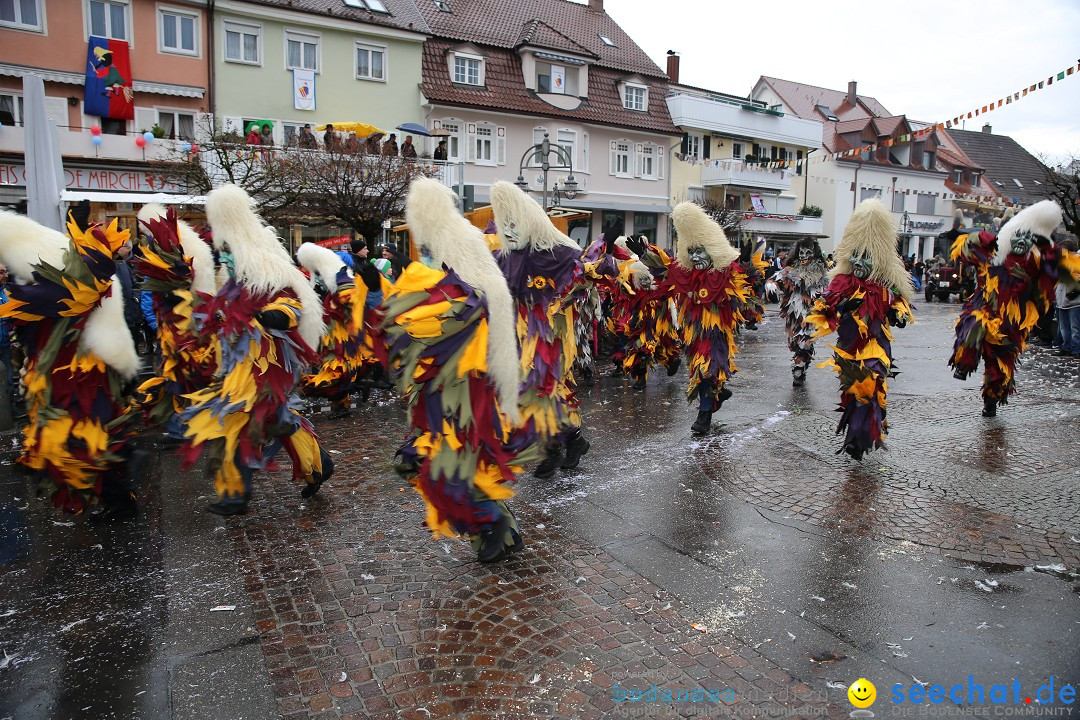 Fasnetsumzug - Fasching: Langenargen am Bodensee, 10.01.2016