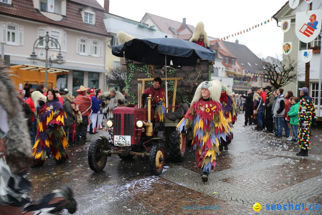 Fasnetsumzug - Fasching: Langenargen am Bodensee, 10.01.2016