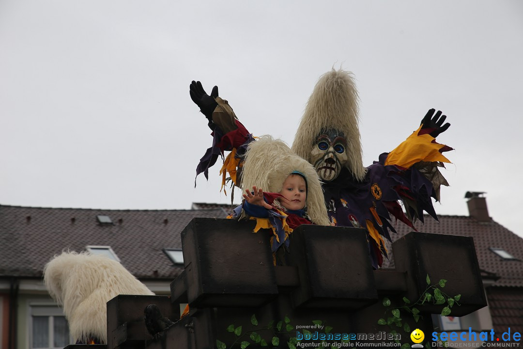 Fasnetsumzug - Fasching: Langenargen am Bodensee, 10.01.2016