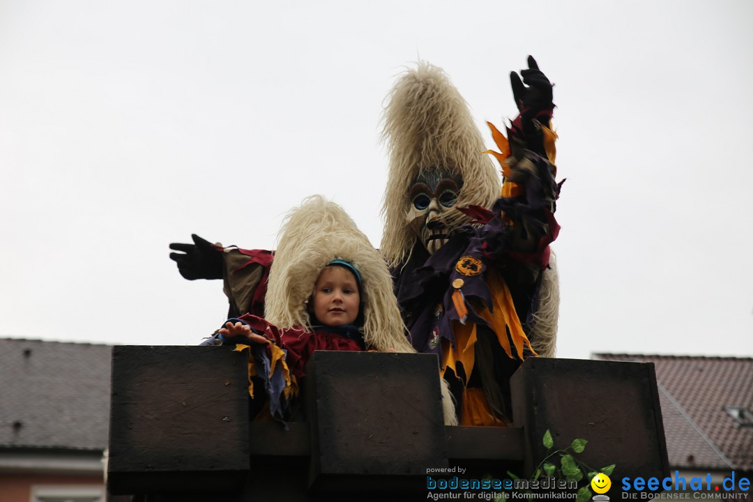 Fasnetsumzug - Fasching: Langenargen am Bodensee, 10.01.2016