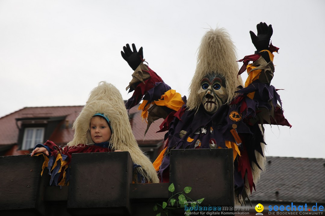 Fasnetsumzug - Fasching: Langenargen am Bodensee, 10.01.2016