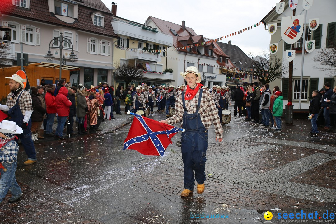 Fasnetsumzug - Fasching: Langenargen am Bodensee, 10.01.2016