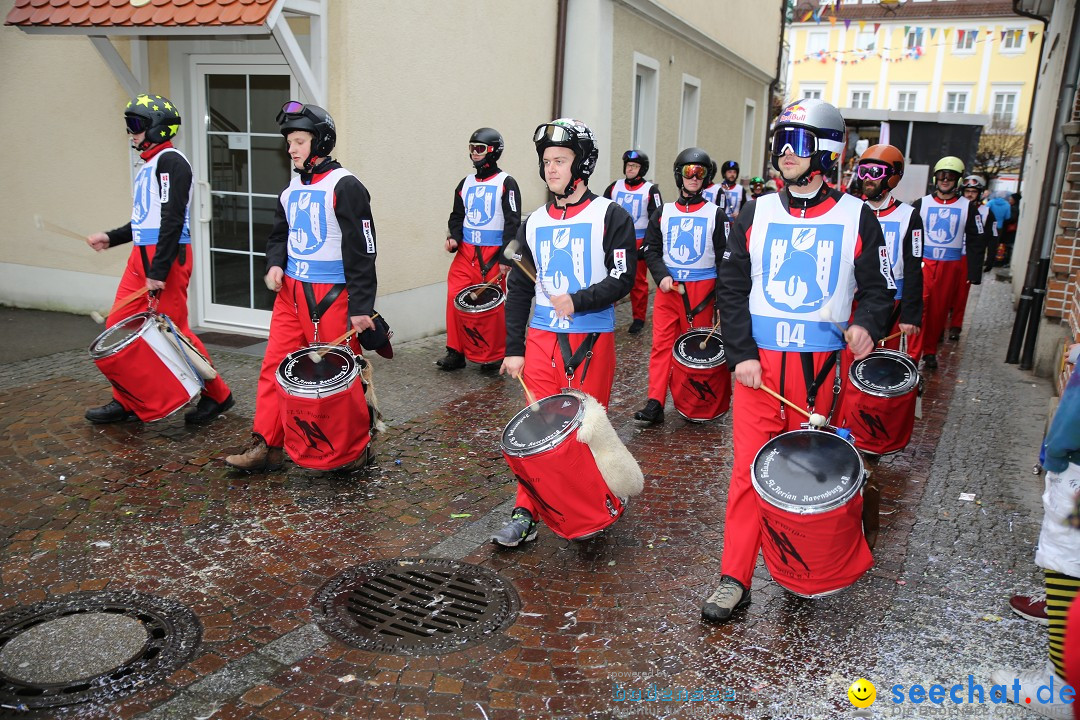 Fasnetsumzug - Fasching: Langenargen am Bodensee, 10.01.2016