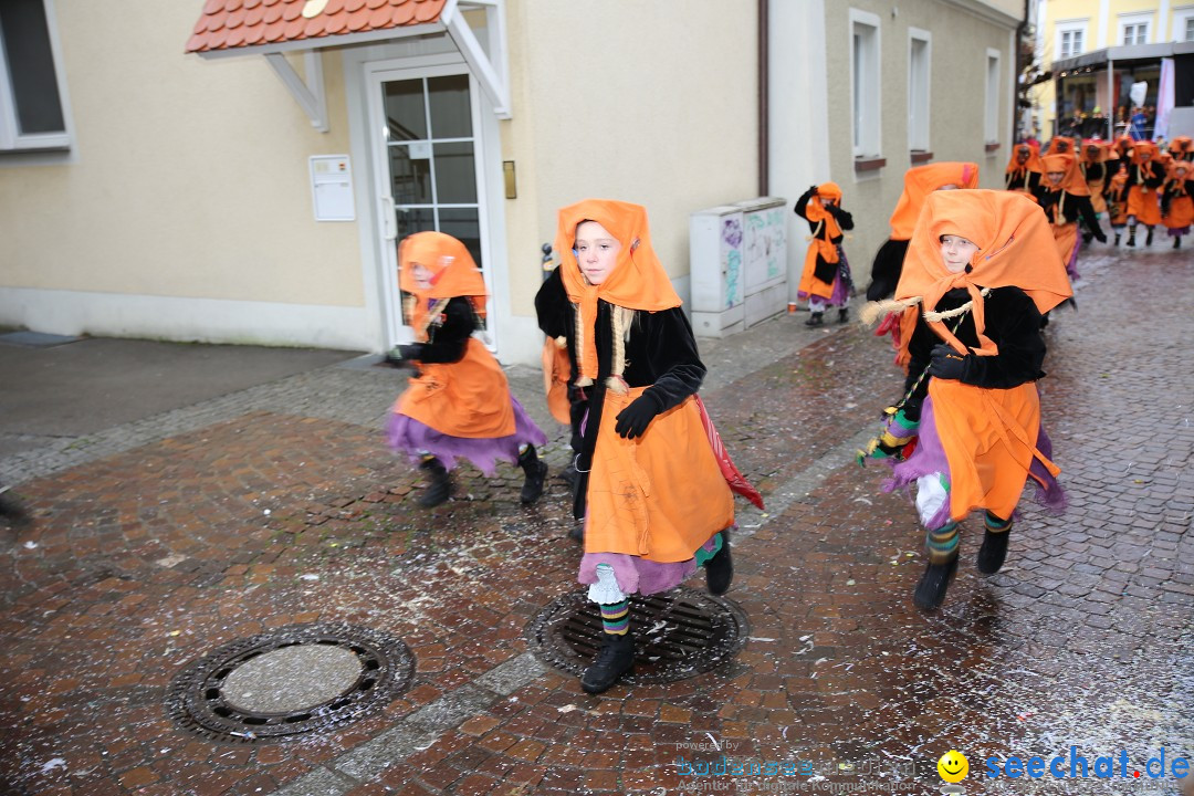 Fasnetsumzug - Fasching: Langenargen am Bodensee, 10.01.2016