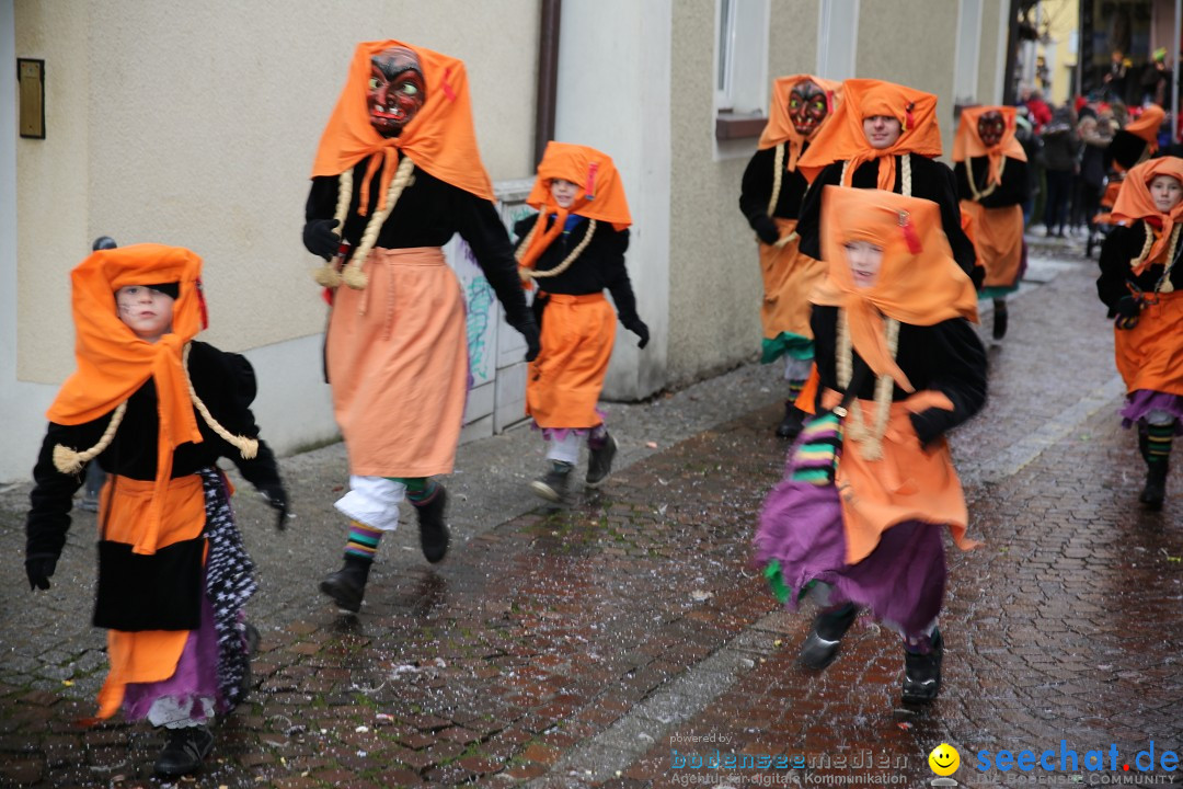 Fasnetsumzug - Fasching: Langenargen am Bodensee, 10.01.2016