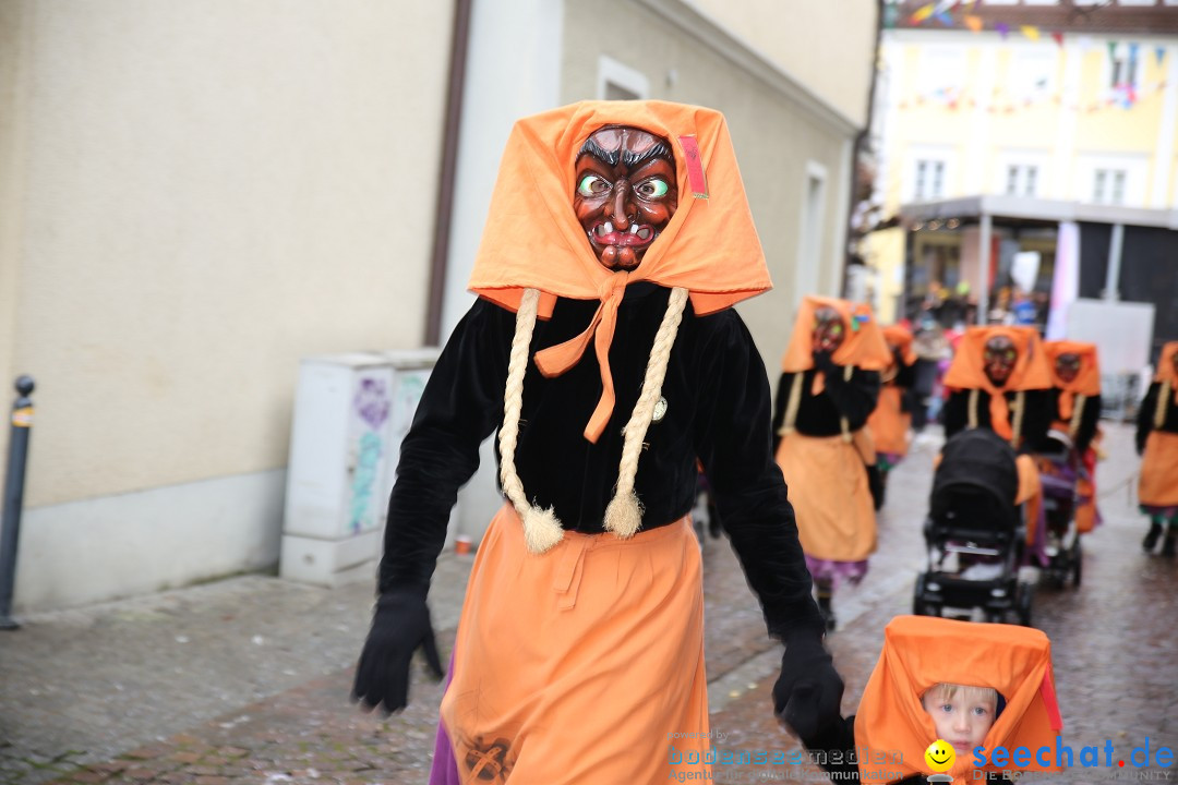 Fasnetsumzug - Fasching: Langenargen am Bodensee, 10.01.2016