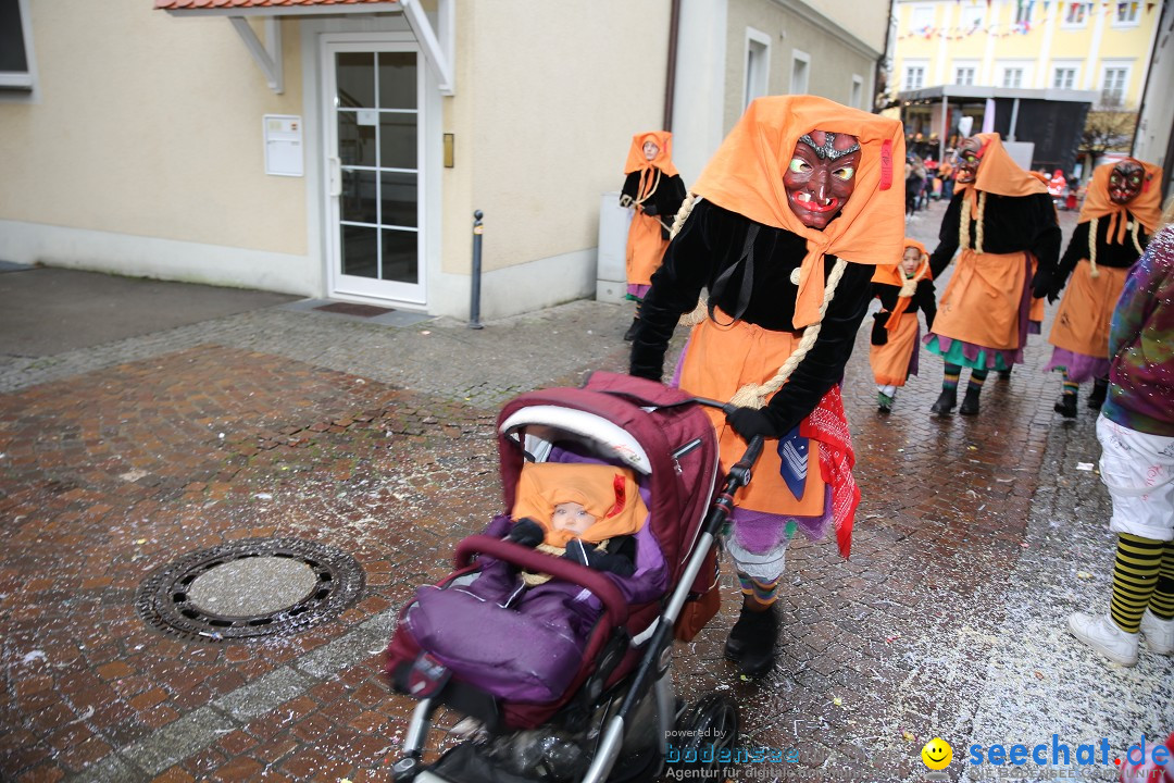 Fasnetsumzug - Fasching: Langenargen am Bodensee, 10.01.2016