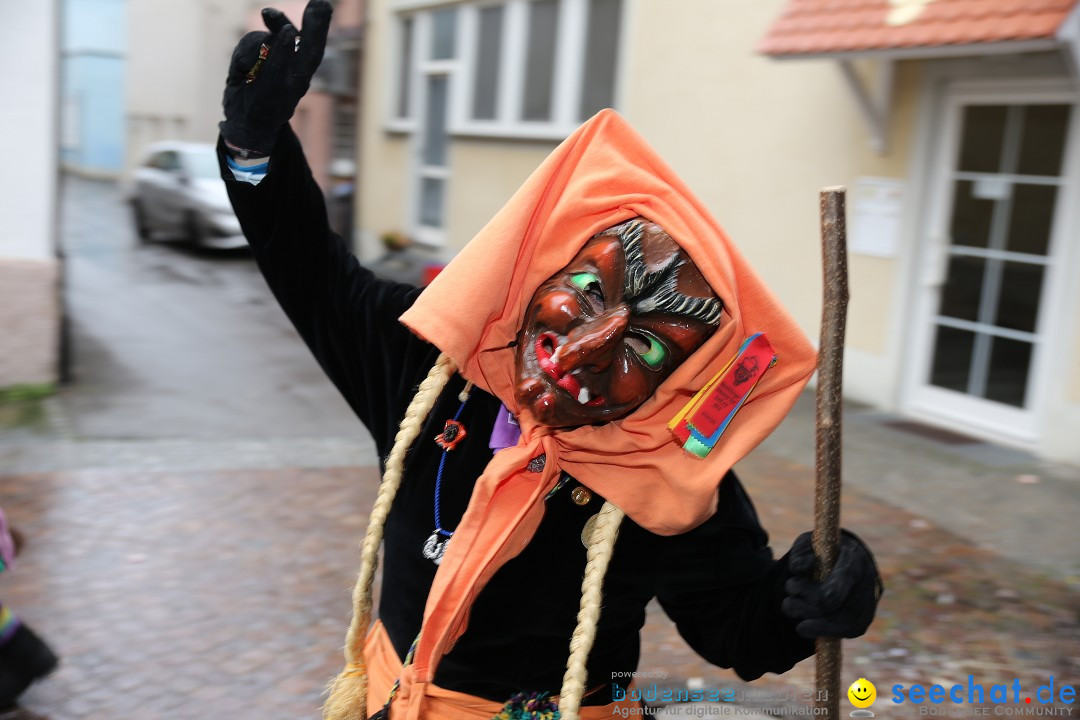 Fasnetsumzug - Fasching: Langenargen am Bodensee, 10.01.2016