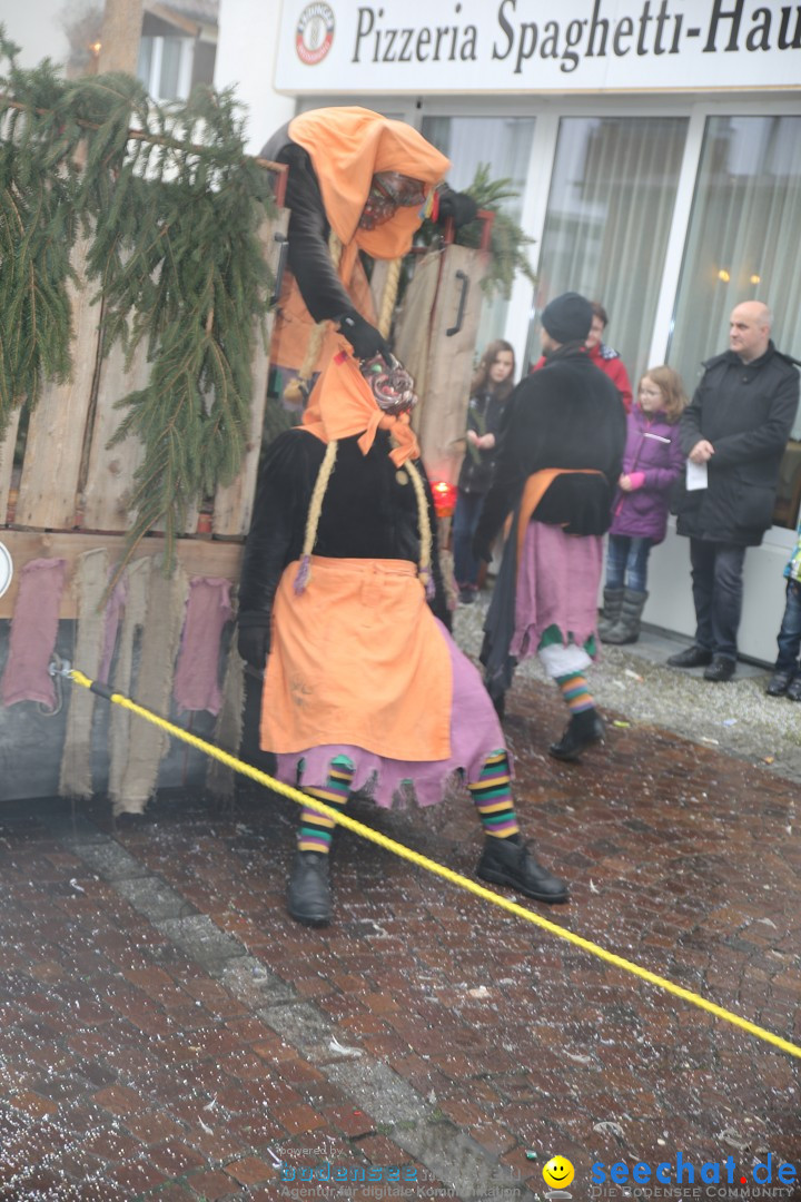 Fasnetsumzug - Fasching: Langenargen am Bodensee, 10.01.2016