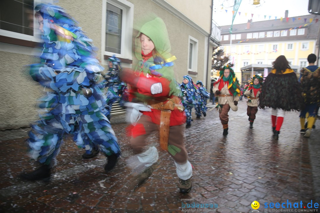 Fasnetsumzug - Fasching: Langenargen am Bodensee, 10.01.2016