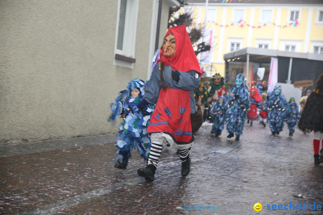 Fasnetsumzug - Fasching: Langenargen am Bodensee, 10.01.2016