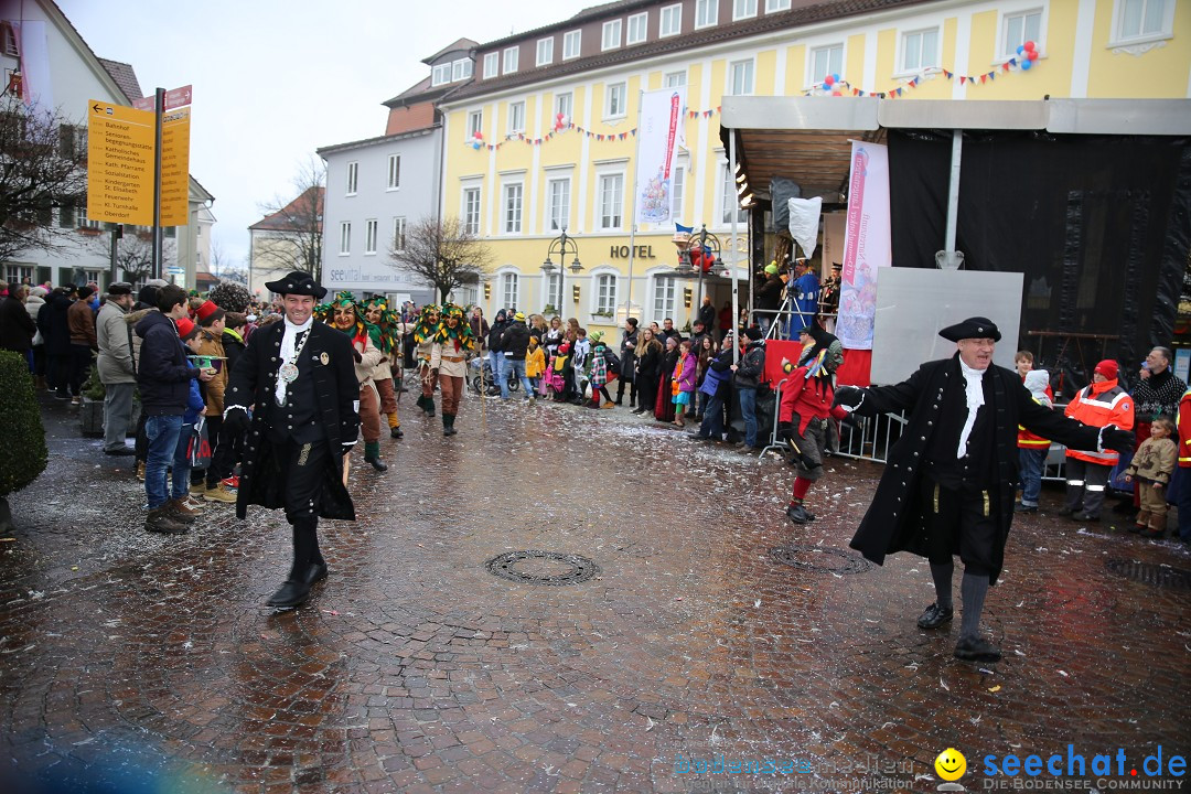 Fasnetsumzug - Fasching: Langenargen am Bodensee, 10.01.2016