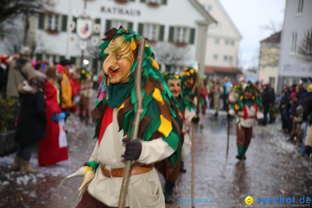 Fasnetsumzug - Fasching: Langenargen am Bodensee, 10.01.2016