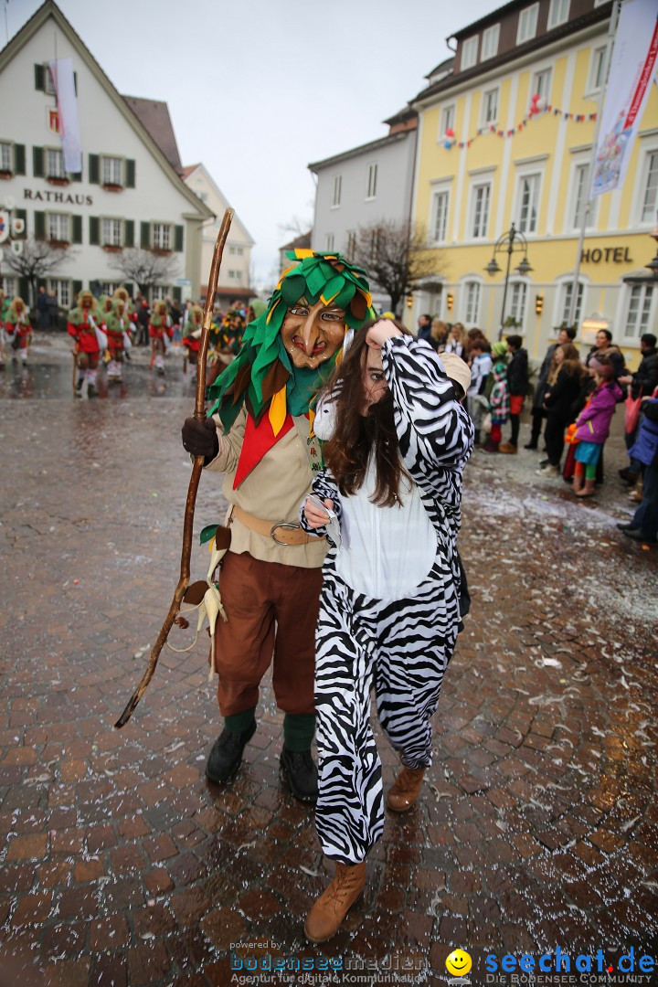 Fasnetsumzug - Fasching: Langenargen am Bodensee, 10.01.2016