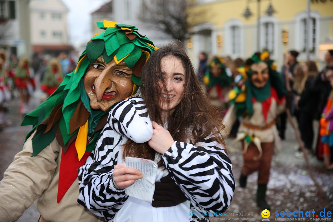 Fasnetsumzug - Fasching: Langenargen am Bodensee, 10.01.2016