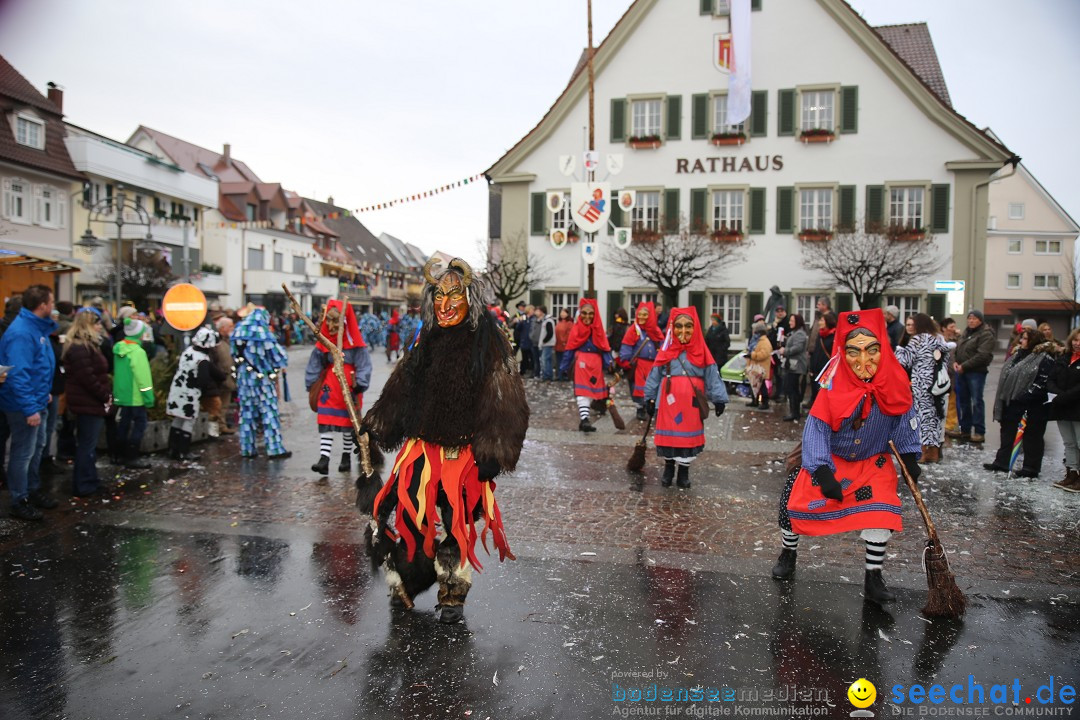 Fasnetsumzug - Fasching: Langenargen am Bodensee, 10.01.2016