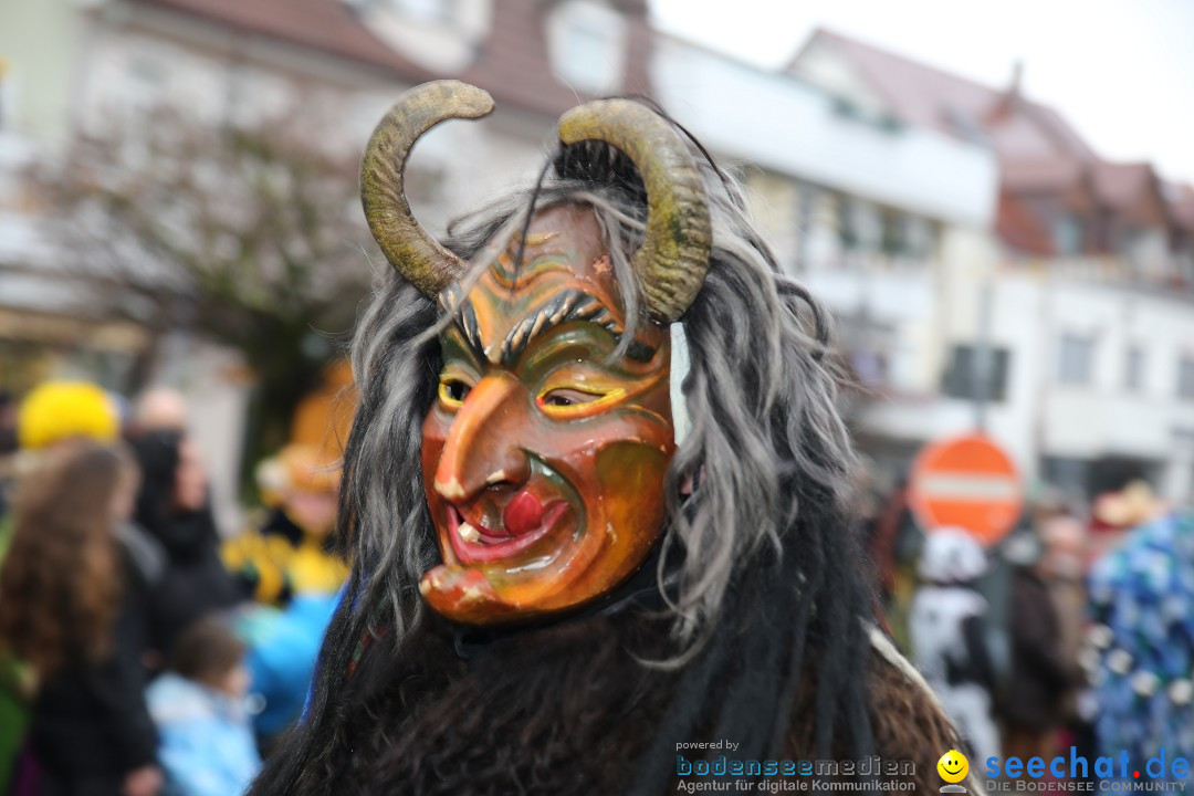 Fasnetsumzug - Fasching: Langenargen am Bodensee, 10.01.2016