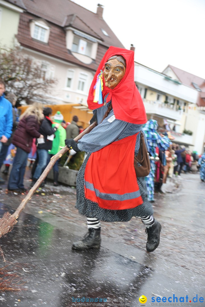 Fasnetsumzug - Fasching: Langenargen am Bodensee, 10.01.2016