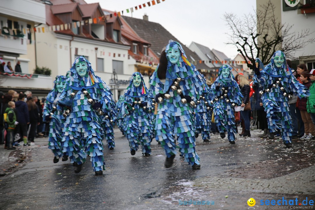 Fasnetsumzug - Fasching: Langenargen am Bodensee, 10.01.2016