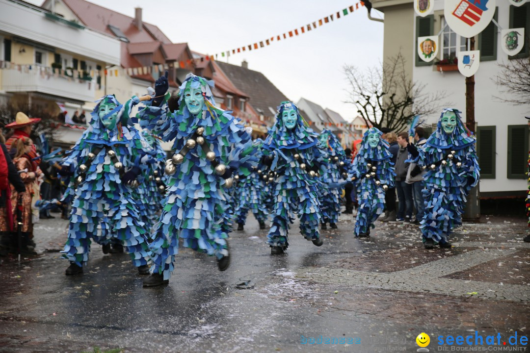 Fasnetsumzug - Fasching: Langenargen am Bodensee, 10.01.2016