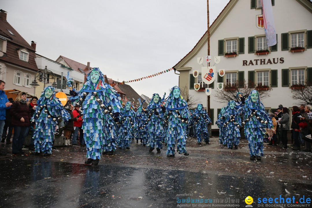 Fasnetsumzug - Fasching: Langenargen am Bodensee, 10.01.2016