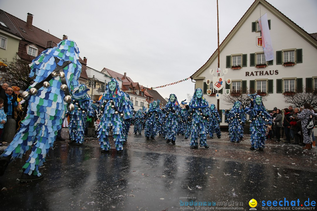 Fasnetsumzug - Fasching: Langenargen am Bodensee, 10.01.2016