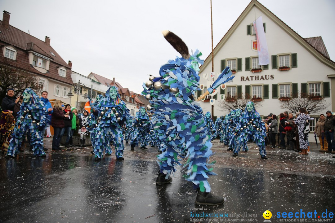 Fasnetsumzug - Fasching: Langenargen am Bodensee, 10.01.2016