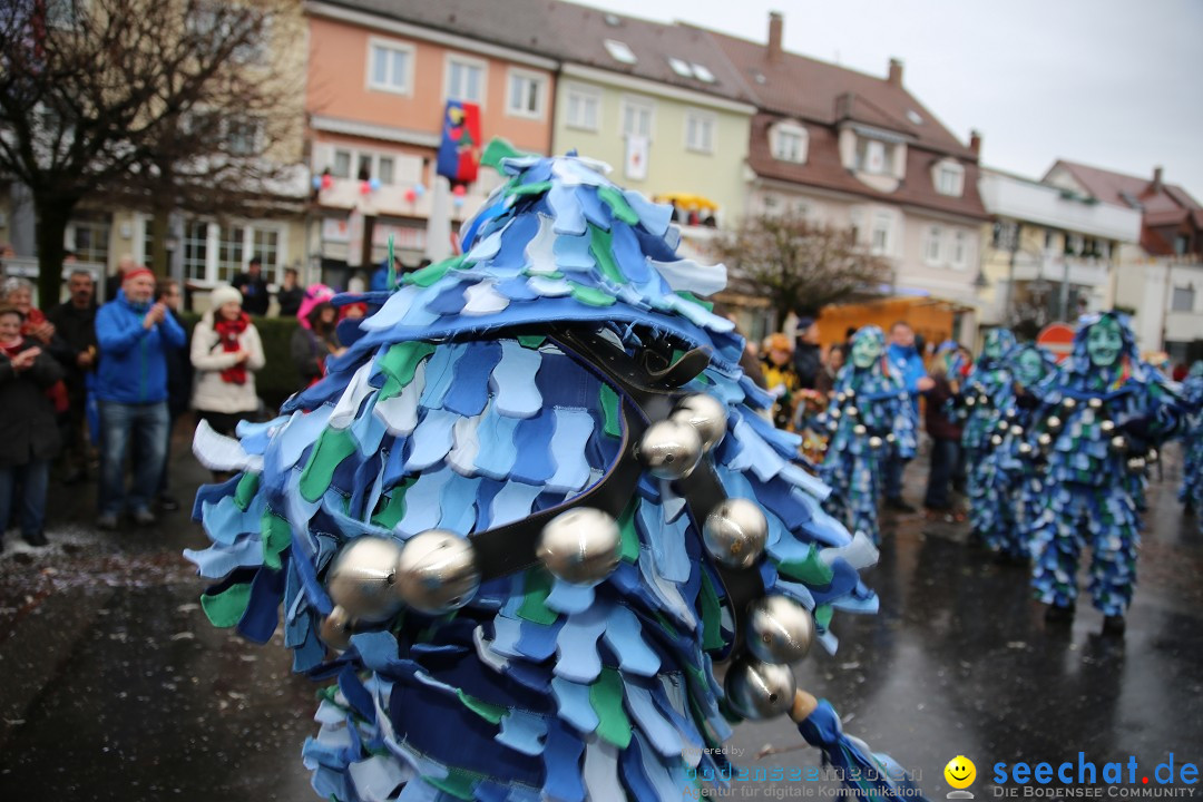 Fasnetsumzug - Fasching: Langenargen am Bodensee, 10.01.2016