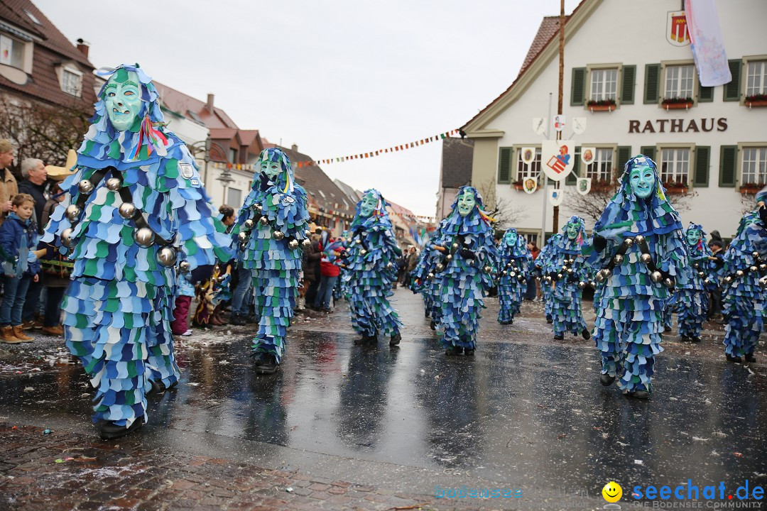 Fasnetsumzug - Fasching: Langenargen am Bodensee, 10.01.2016